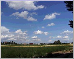 Blick auf's Knoblauchsland