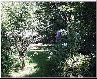 Blick zum Garten